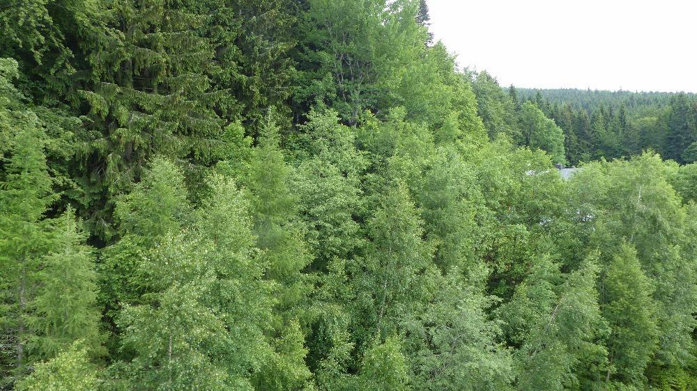 Apartman Bedrichov, Spindleruv Mlyn Bagian luar foto